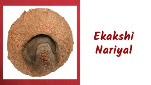 Ekakshi Nariyal