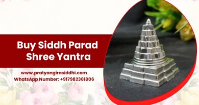 Buy Parad Shri Yantra