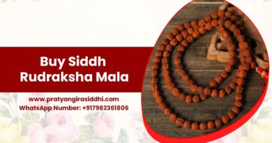 Buy Siddh Rudraksha Mala-min